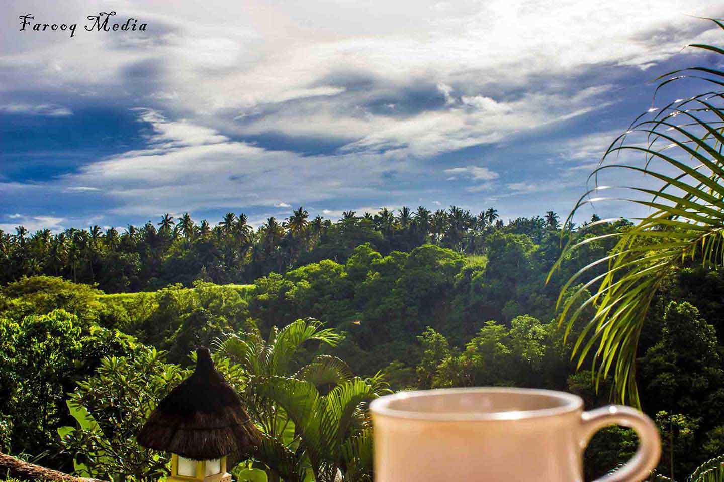 A coffee cup overlooking a rainforest